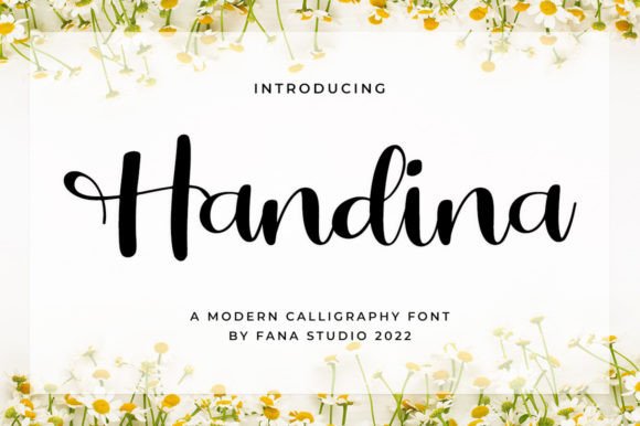 Handina: A Script Handwritten Font for Luxury Branding