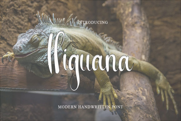 Higuana: A Script Handwritten Font for Creative Crafters and Product Designers